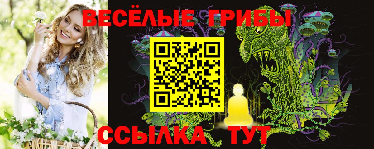 Галлюциногенные грибы ЛСД  Вход с VPN  Азнакаево  Галлюциногенные грибы Psilocybe 